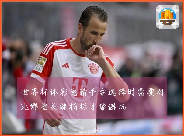 世界杯体彩竞猜平台选择时需要对比哪些关键指标才能避坑