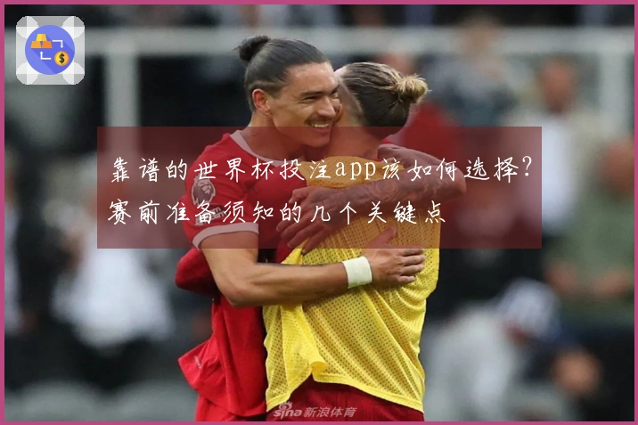 靠谱的世界杯投注app该如何选择?赛前准备须知的几个关键点