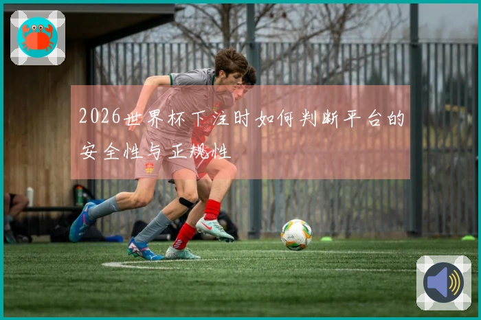 2026世界杯下注时如何判断平台的安全性与正规性